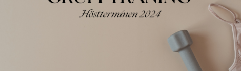 Gruppträning Hösten 2024